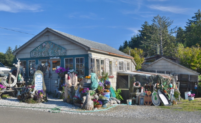 Lexi's Cool Stuff shop